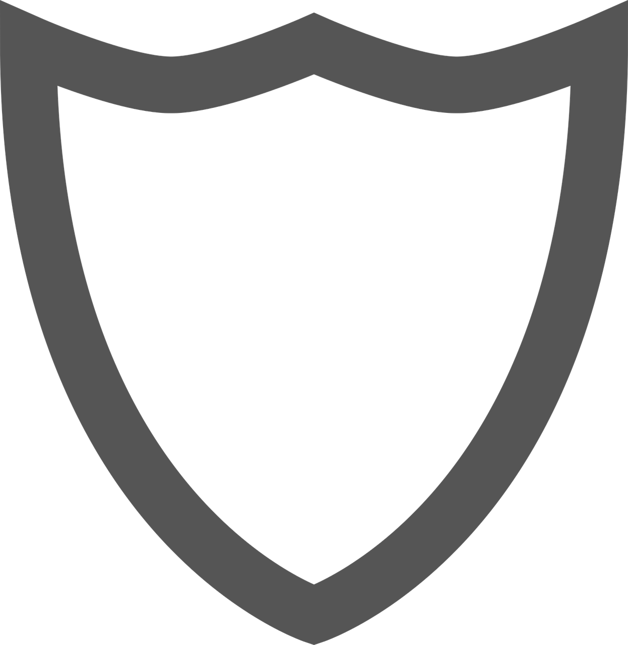 Shield Icon